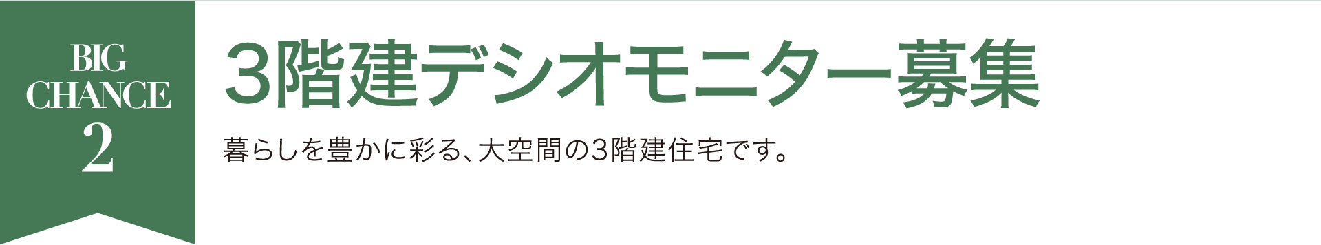 3階建デシオモニター募集 暮らしを豊かに彩る、大空間の3階建住宅です。
