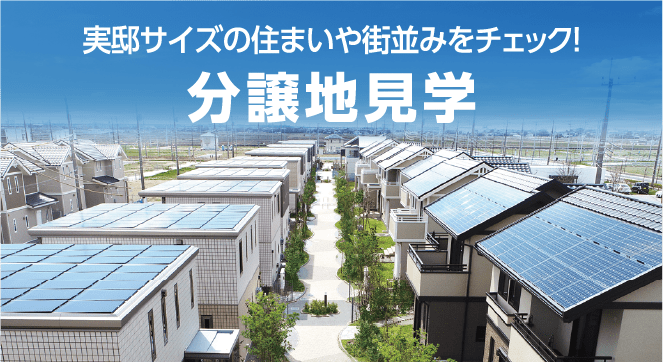 分譲地見学