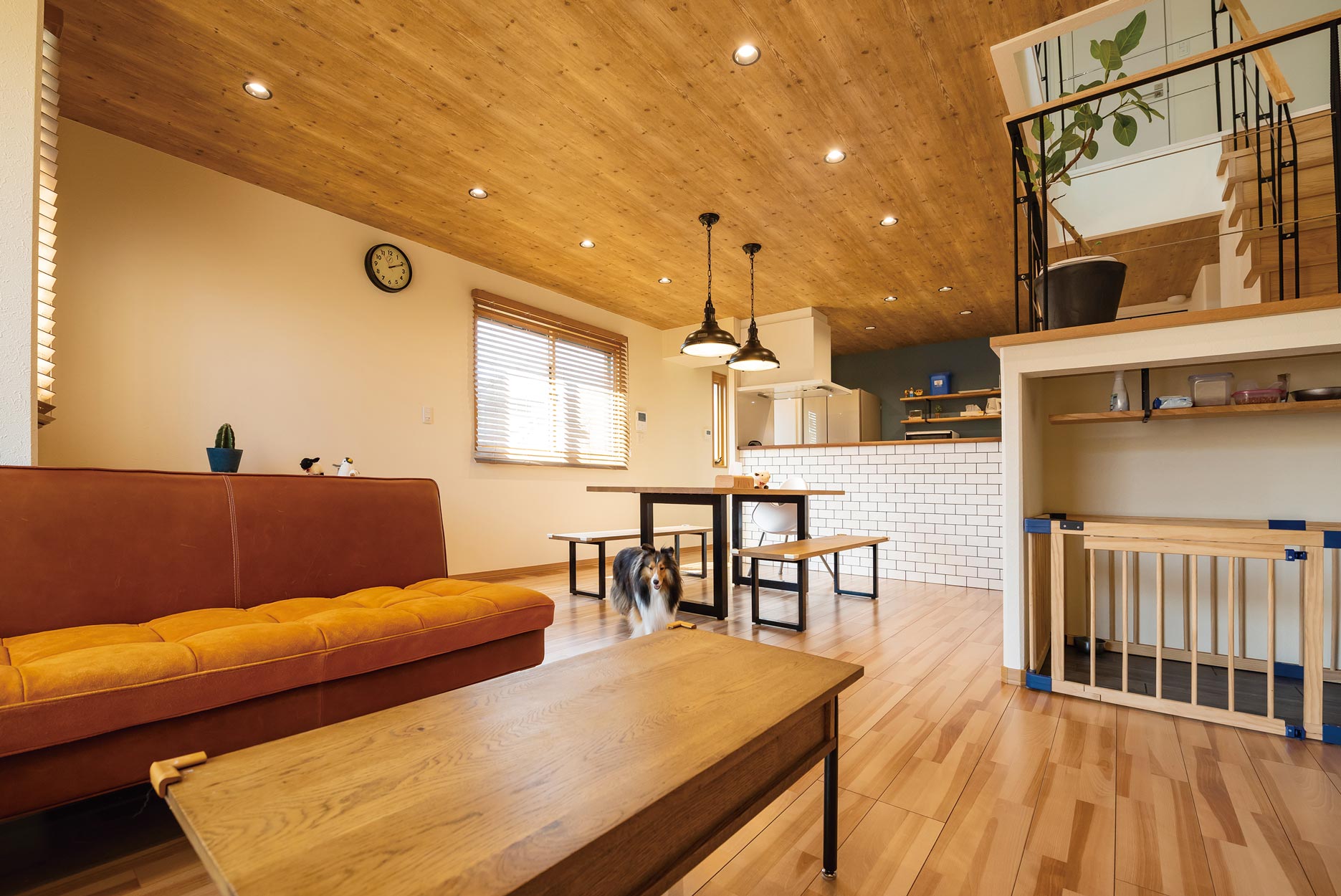 愛犬との快適な暮らしも実現した子育て世代のスタイリッシュな邸宅 建築実例を見る 東京セキスイハイム