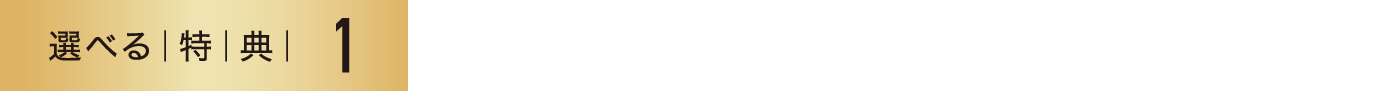 選べる特典1 邸宅に品格をもたらす重厚な風合い