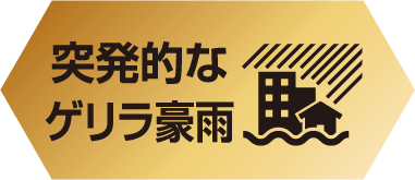 突発的なゲリラ豪雨