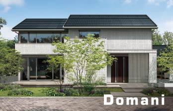 Domani