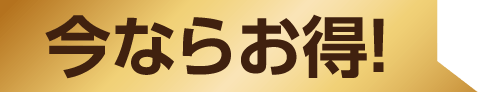今ならお得!