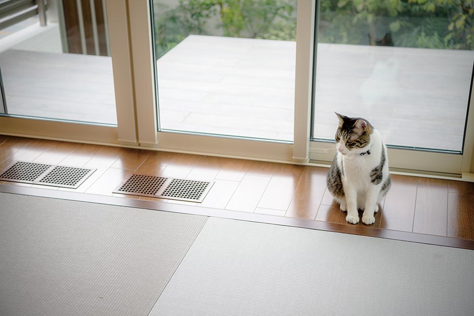 東京セキスイハイム建築実例_日当たりの良い窓際は愛猫のお気に入りスポット