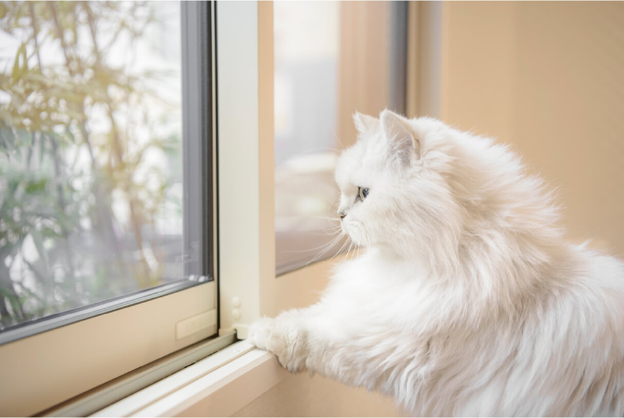 東京セキスイハイム建築実例_愛猫は快適な室内から外の景色を眺めるのがお気に入り