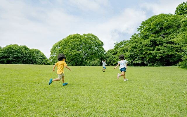 東京セキスイハイムの分譲地（一戸建て・土地）_公園まで徒歩約10分以内