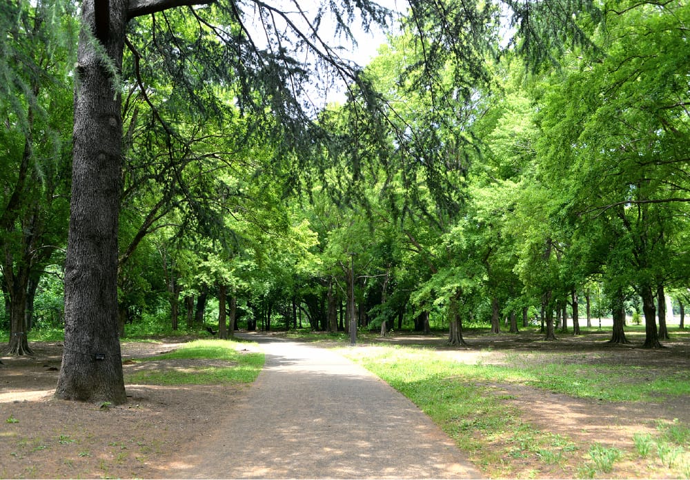 野川公園のイメージ