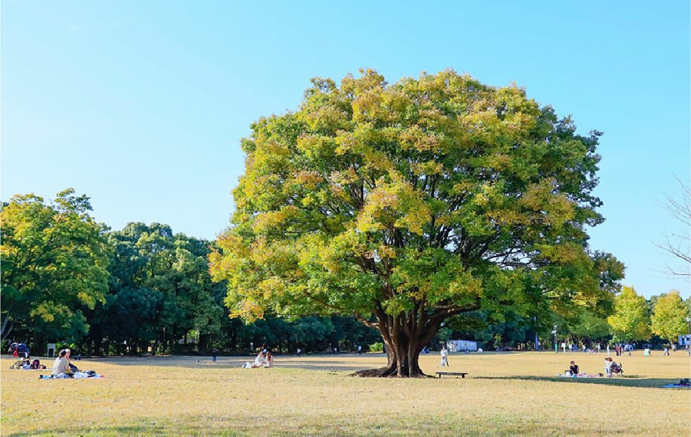 [所沢航空記念公園]