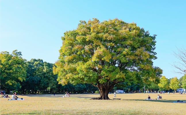 [所沢航空記念公園]